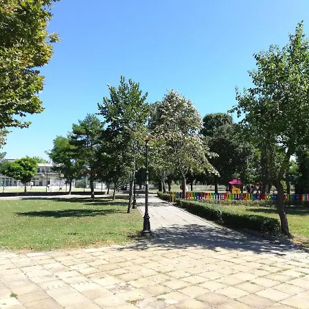 Sunny Day Πομόριε