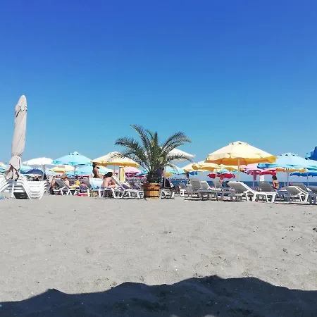 Sunny Day Πομόριε