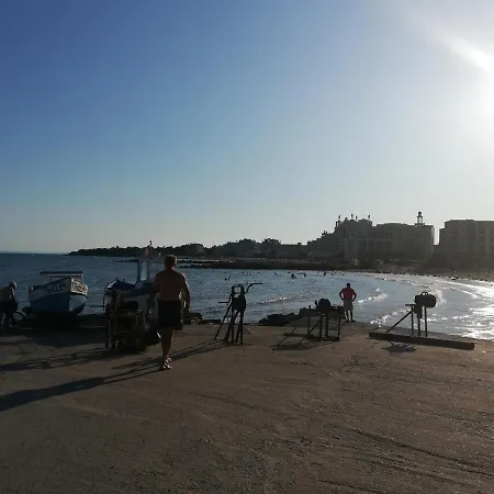 Sunny Day
